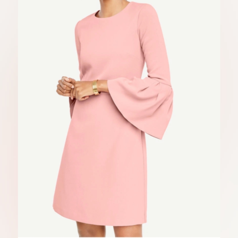 Ann Taylor dress, 4P
